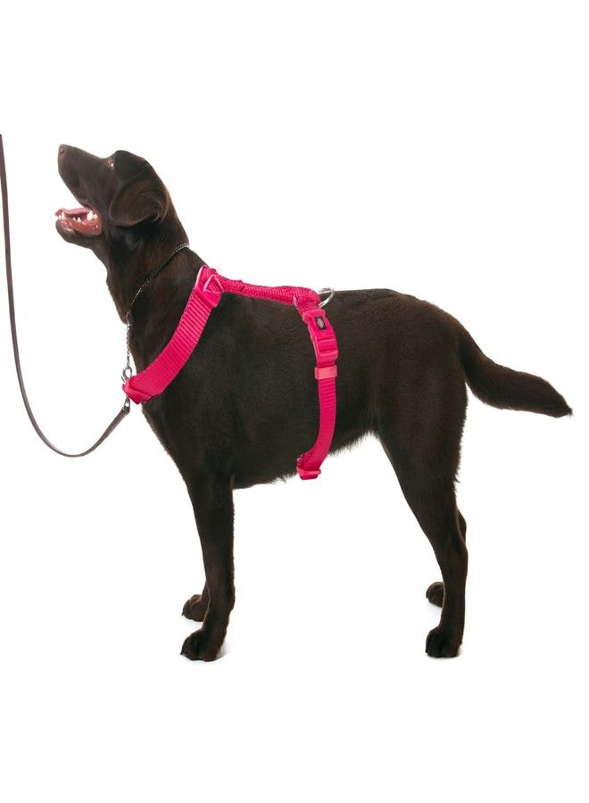 Trixie Premium Touring Harness for Dogs, Fleece Padding, Adjustable and Lightweight, Strong D-Ring Keeps Harness and Leash in Place, 42-60 cm/ 15 mm(S-M, Fuchsia) - Image 4